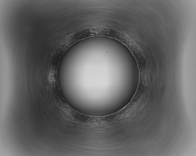 X0000114590770200910191556