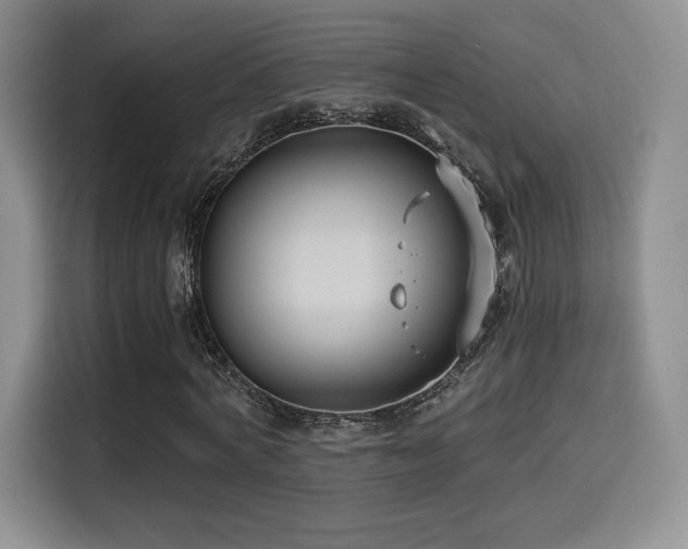 X0000114590772200910191556