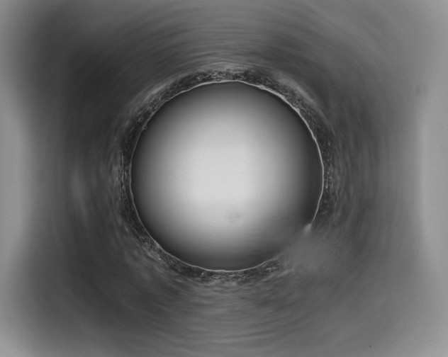 X0000114590773200910191556