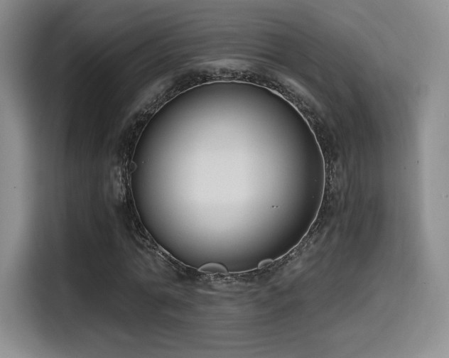 X0000114590774200910191556