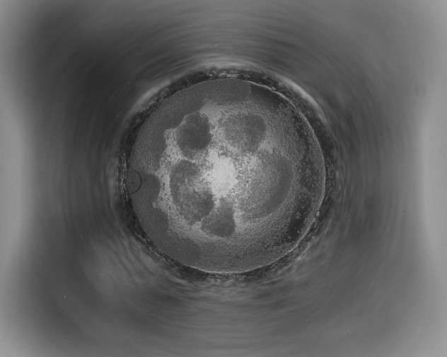 X0000114590775200910191556