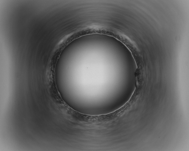 X0000114590776200910191556