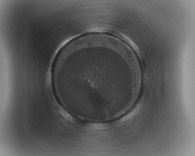 X0000114590779200910191556