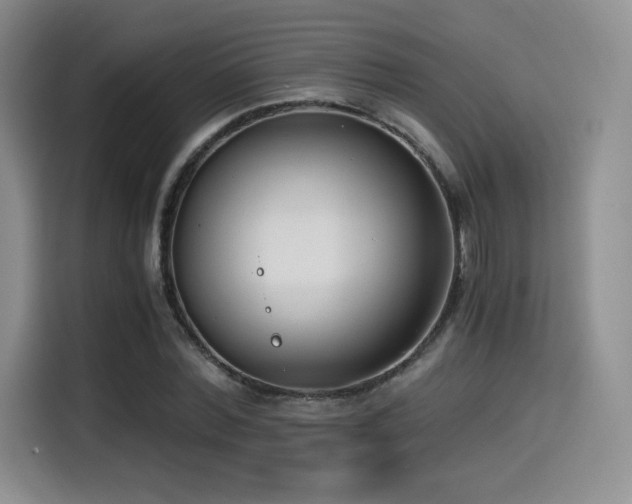 X0000114590780200910191556