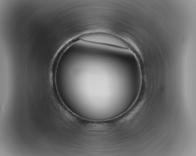 X0000114590781200910191556
