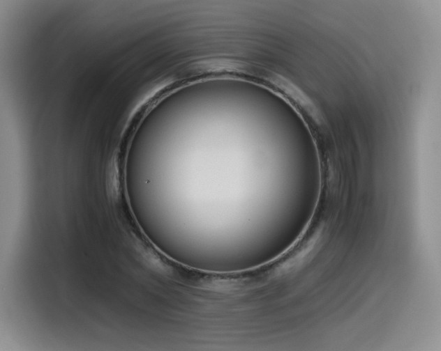 X0000114590782200910191556