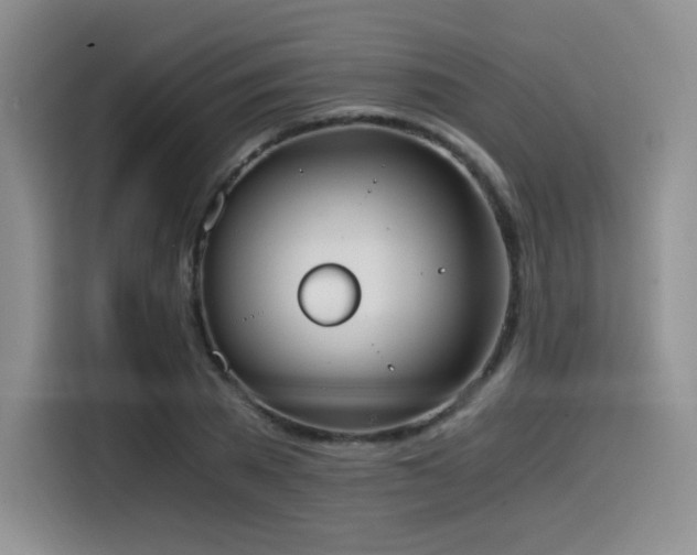 X0000114590785200910191556