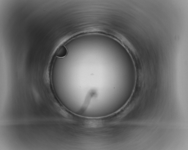 X0000114590789200910191556