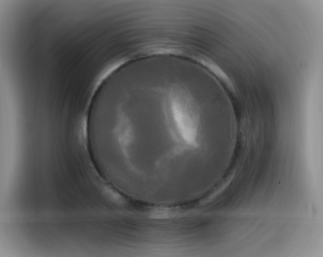 X0000114590790200910191556