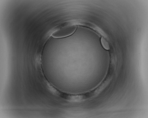 X0000114590793200910191556