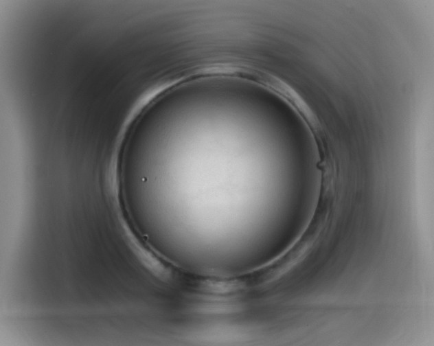 X0000114590795200910191556