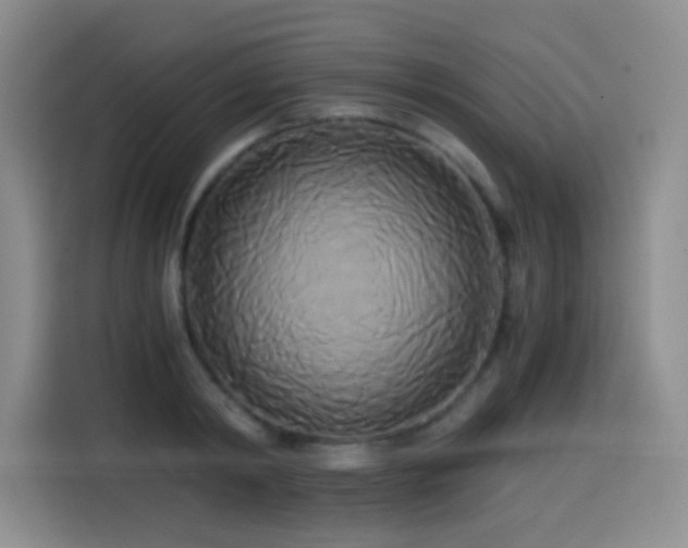 X0000114590798200910191556