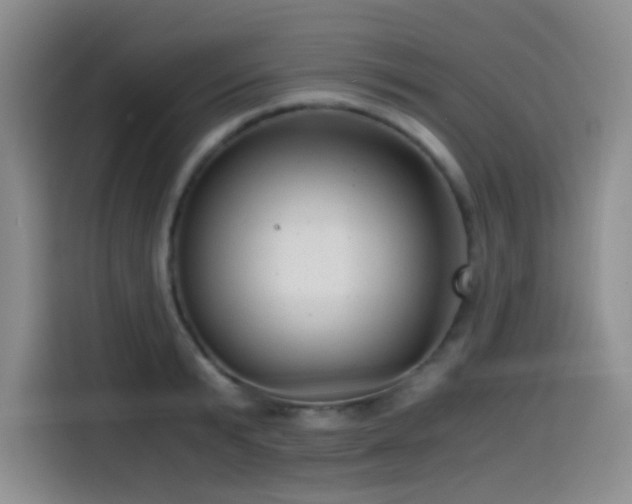 X0000114590799200910191556