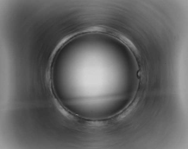 X0000114590800200910191556