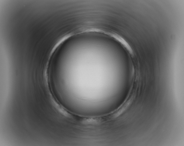 X0000114590806200910191556