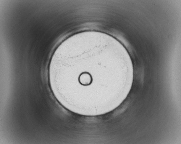 X0000114590807200910191556