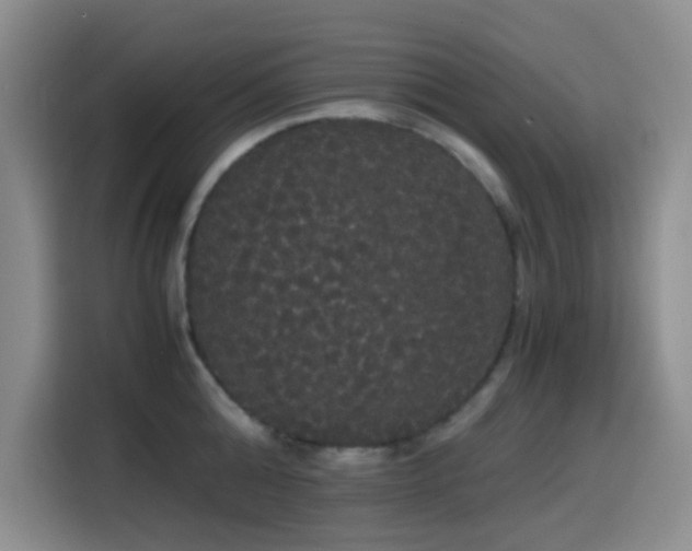 X0000114590808200910191556
