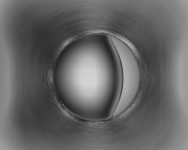 X0000114590809200910191556