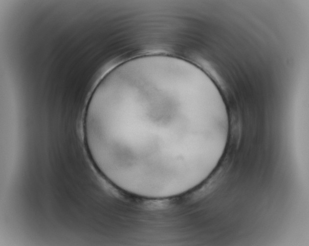 X0000114590810200910191556