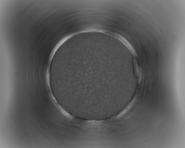 X0000114590812200910191556