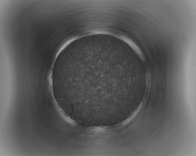 X0000114590814200910191556
