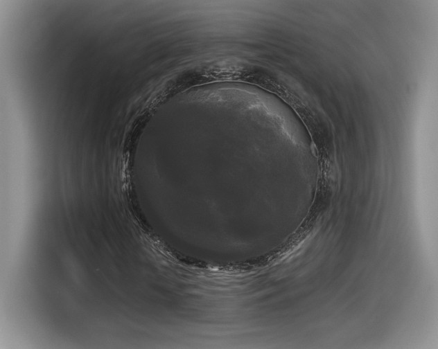 X0000114590818200910191555