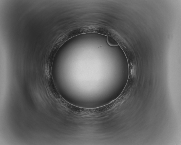 X0000114590819200910191555