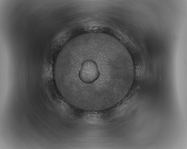 X0000114590820200910191555