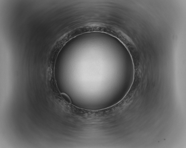 X0000114590821200910191555