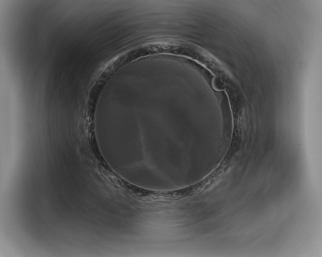 X0000114590822200910191555
