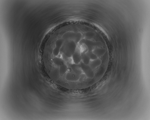 X0000114590823200910191555