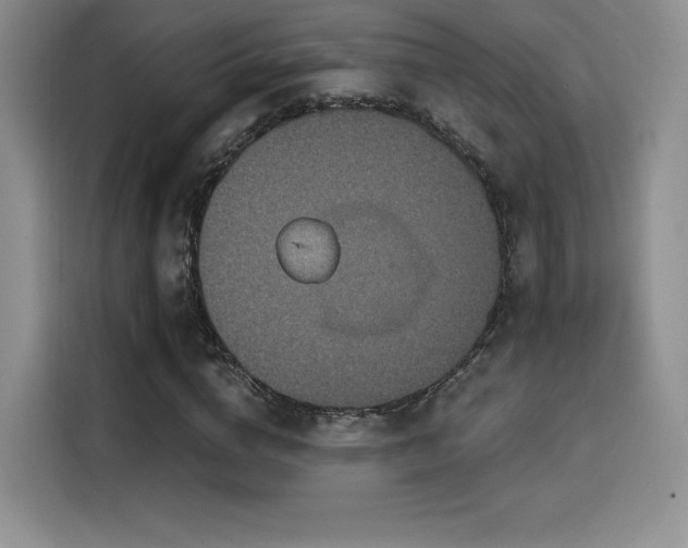 X0000114590824200910191555