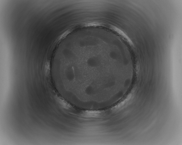 X0000114590825200910191555