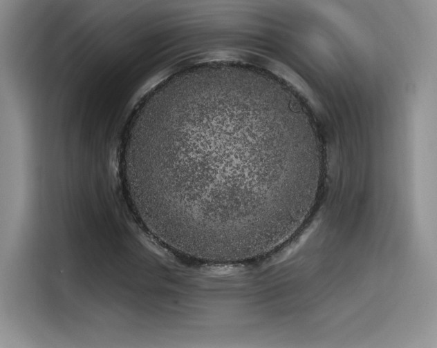 X0000114590826200910191555