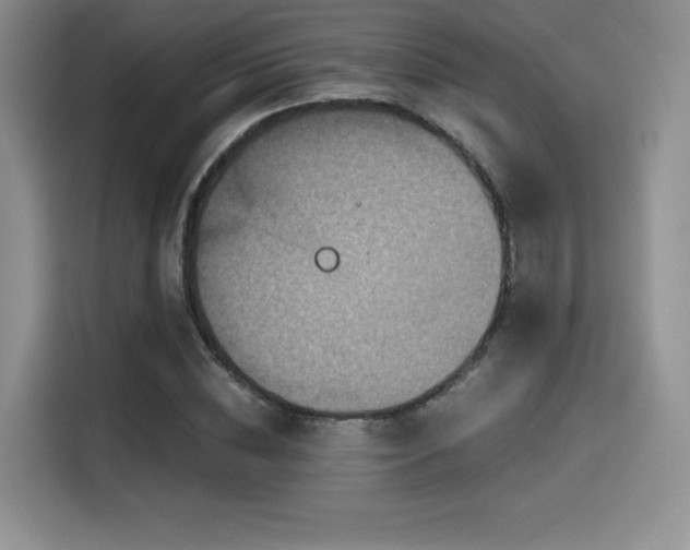 X0000114590828200910191555
