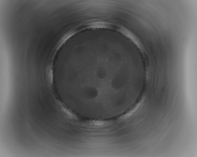 X0000114590829200910191555