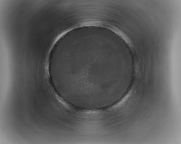 X0000114590830200910191555