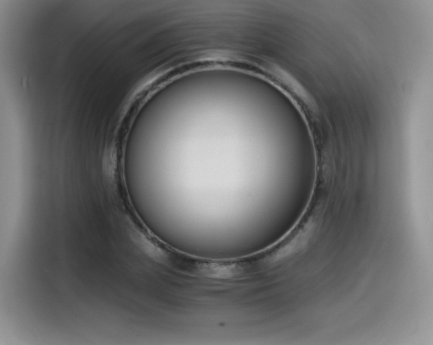 X0000114590831200910191555