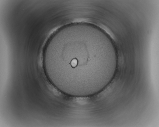 X0000114590832200910191555