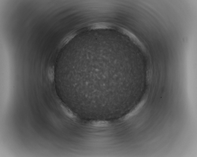 X0000114590833200910191555