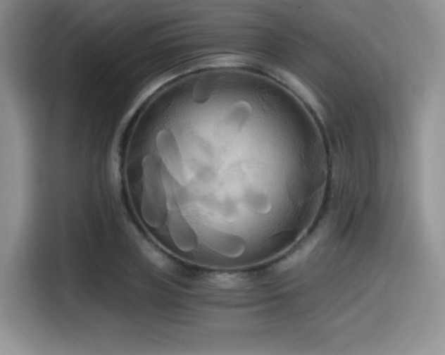 X0000114590835200910191555