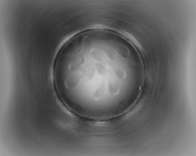 X0000114590839200910191555