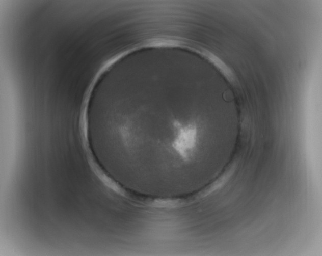 X0000114590840200910191555