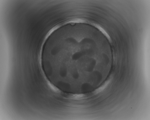 X0000114590845200910191555