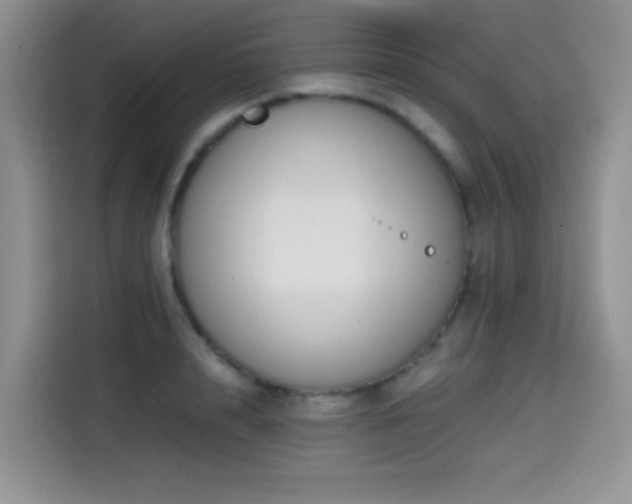 X0000114590848200910191555
