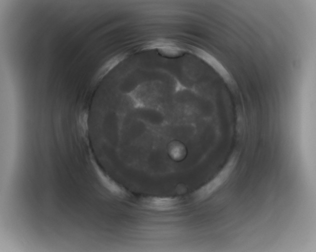 X0000114590849200910191555
