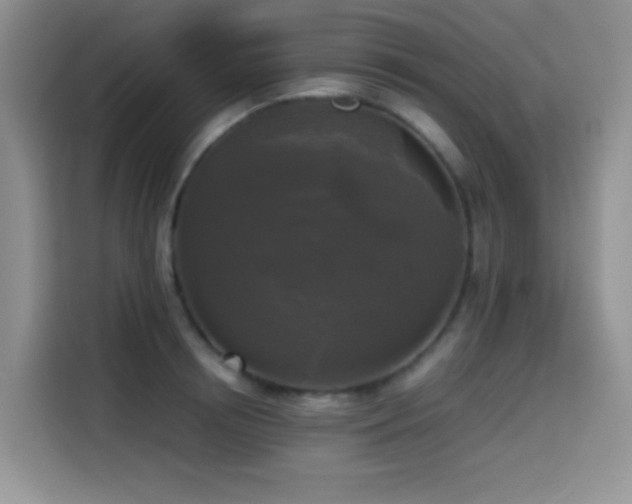 X0000114590850200910191555