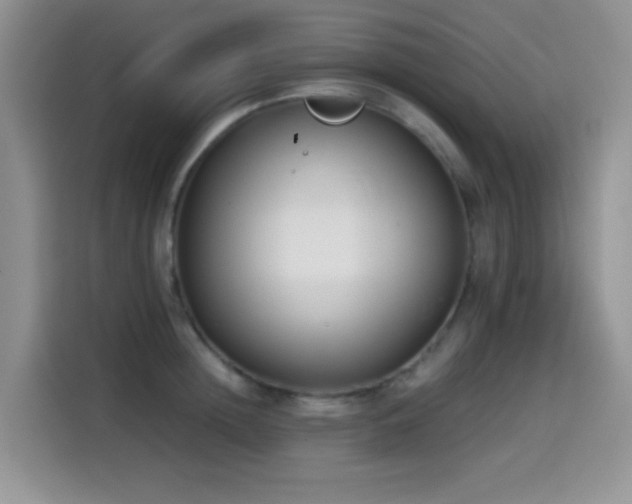X0000114590852200910191555