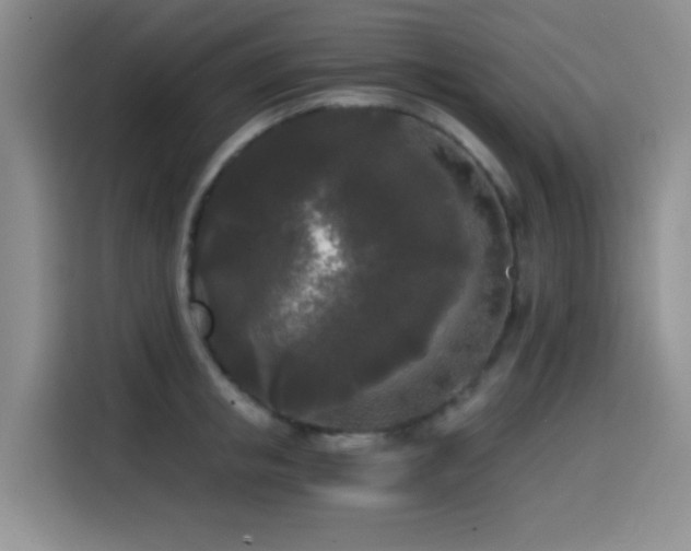 X0000114590853200910191555