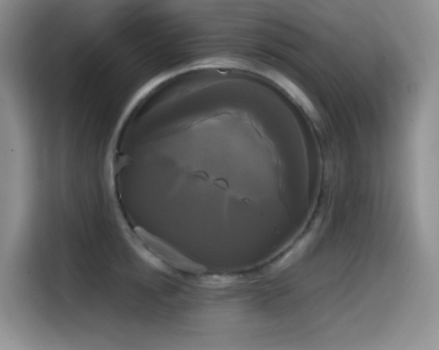 X0000114590854200910191555